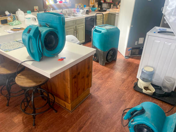 Best Ceiling water damage repair  in Independent Hill, VA