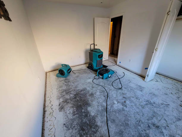 Best Commercial water damage restoration  in Independent Hill, VA