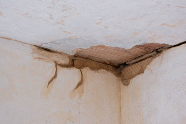 Best Mold removal after water damage  in Independent Hill, VA