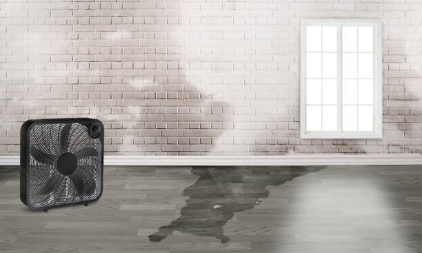 Best Commercial water damage restoration  in Independent Hill, VA