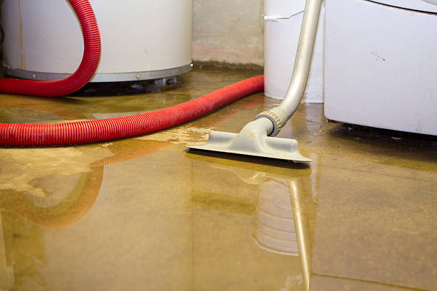 Best Fire Damage Restoration  in Independent Hill, VA