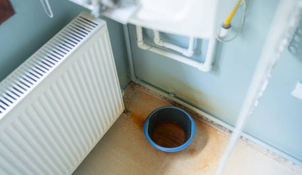 Best Flood damage cleanup  in Independent Hill, VA