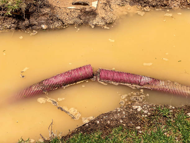 Best Flood restoration services  in Independent Hill, VA